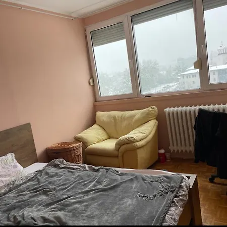Cozy Arena Апартаменты *